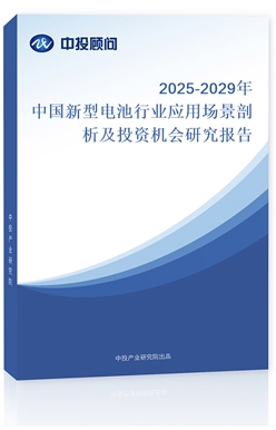 2025-2029Ї늳ИI(y)(yng)ÈͶYC(j)о(bo)