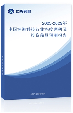 2025-2029ЇƼИI(y){(dio)мͶYǰA(y)y