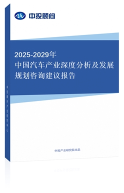 2025-2029Ї܇a(chn)I(y)ȷl(f)չҎ(gu)ԃh(bo)